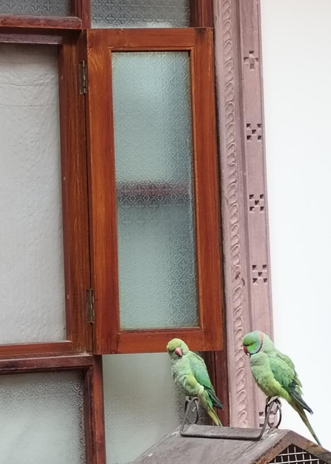 Rigmor Haveli Hotel Джодпур Екстериор снимка