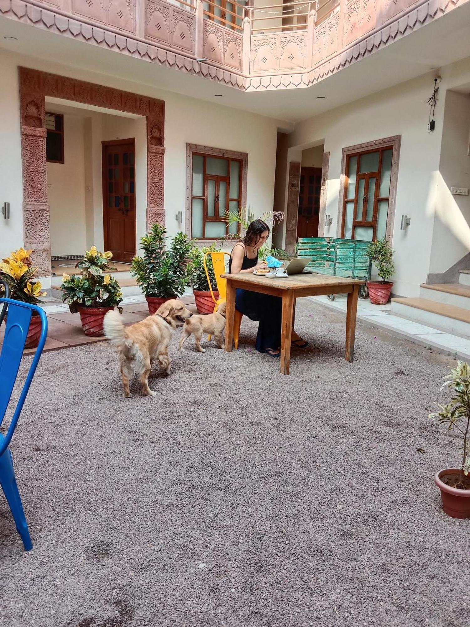 Rigmor Haveli Hotel Джодпур Екстериор снимка
